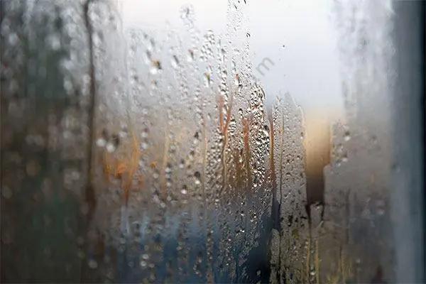 梅雨？霉雨？何不霉？